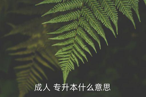 成人 專升本什么意思