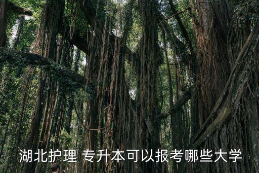  湖北護(hù)理 專升本可以報(bào)考哪些大學(xué)