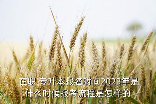  在職 專升本報(bào)名時(shí)間2023年是什么時(shí)候報(bào)考流程是怎樣的