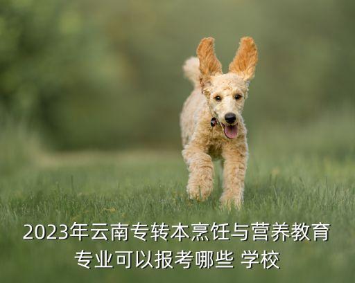 2023年云南專轉本烹飪與營養(yǎng)教育專業(yè)可以報考哪些 學校