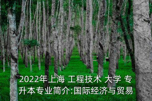 上海工程技術(shù)大學(xué)專升本招生簡章,2023年上海工程技術(shù)大學(xué)專升本招生簡章