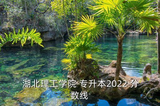  湖北理工學(xué)院 專升本2022 分?jǐn)?shù)線