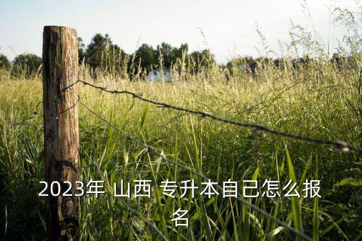 2023年 山西 專升本自己怎么報(bào)名