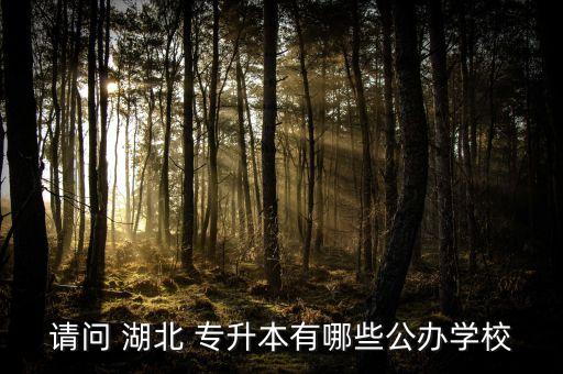 請(qǐng)問(wèn) 湖北 專升本有哪些公辦學(xué)校