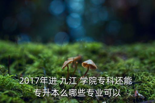 2017年進(jìn) 九江 學(xué)院專科還能 專升本么哪些專業(yè)可以