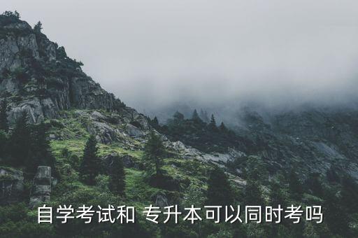 自學(xué)考試和 專升本可以同時(shí)考嗎