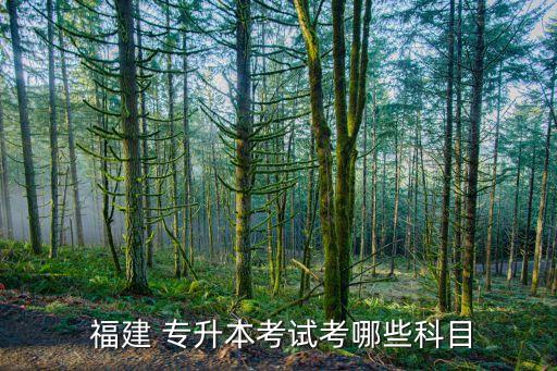 音樂類專升本 福建,2022福建音樂類專升本報名人數(shù)