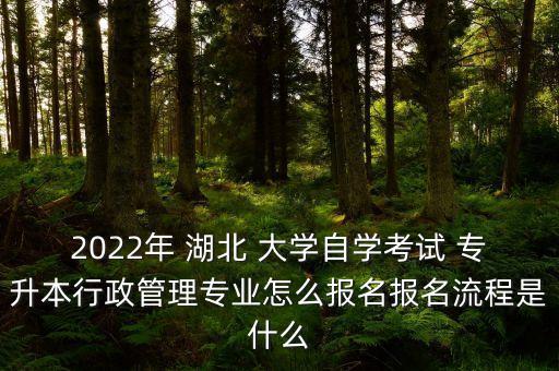 2022年 湖北 大學(xué)自學(xué)考試 專升本行政管理專業(yè)怎么報(bào)名報(bào)名流程是什么