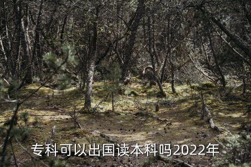 專科可以出國(guó)讀本科嗎2022年