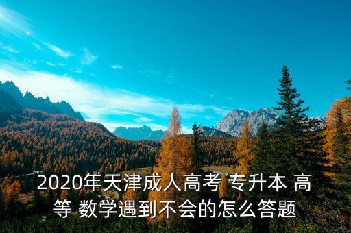 2020年天津成人高考 專升本 高等 數(shù)學(xué)遇到不會的怎么答題