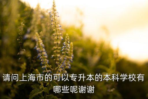 請問上海市的可以專升本的本科學校有哪些呢謝謝