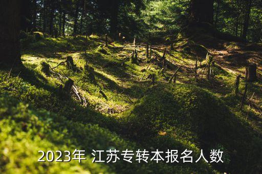 2023年 江蘇專轉(zhuǎn)本報名人數(shù)