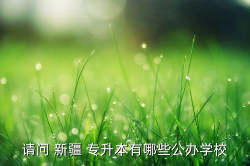 請(qǐng)問(wèn) 新疆 專升本有哪些公辦學(xué)校