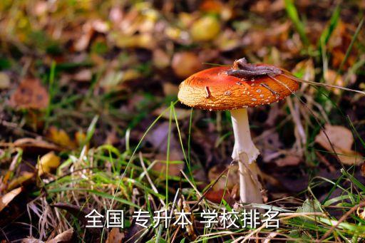 鄭州哪里的專升本學(xué)校好,鄭州新世紀專升本學(xué)?？煽繂? /></a><a href=