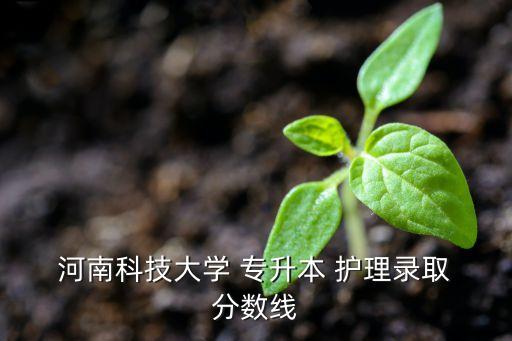  河南科技大學(xué) 專升本 護理錄取 分?jǐn)?shù)線