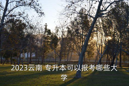 2023云南 專升本可以報考哪些大學(xué)