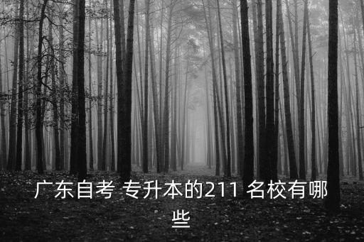 廣東自考 專升本的211 名校有哪些