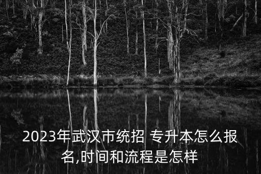 2023年武漢市統(tǒng)招 專升本怎么報(bào)名,時(shí)間和流程是怎樣