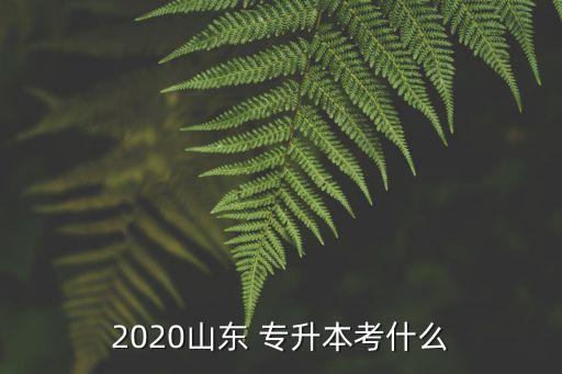 2020山東 專升本考什么