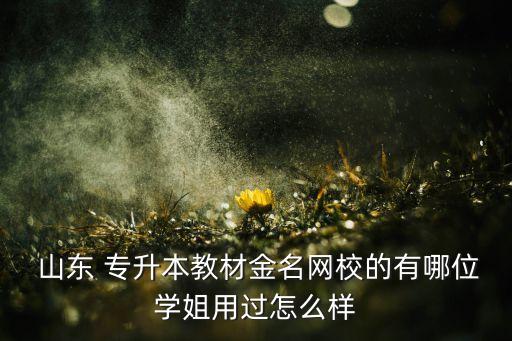  山東 專升本教材金名網(wǎng)校的有哪位學(xué)姐用過怎么樣