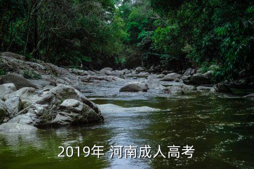 2019年 河南成人高考