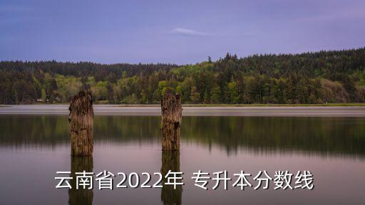  云南省2022年 專升本分?jǐn)?shù)線