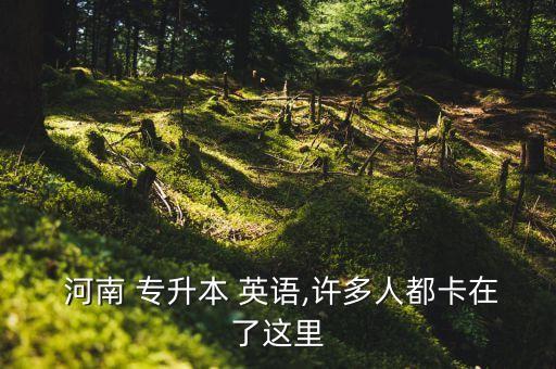  河南 專升本 英語,許多人都卡在了這里