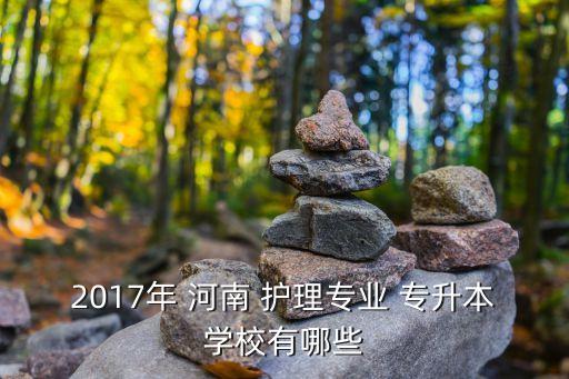 2017年 河南 護(hù)理專業(yè) 專升本學(xué)校有哪些