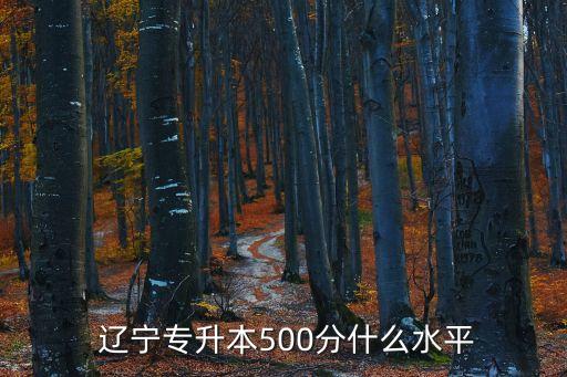  遼寧專升本500分什么水平