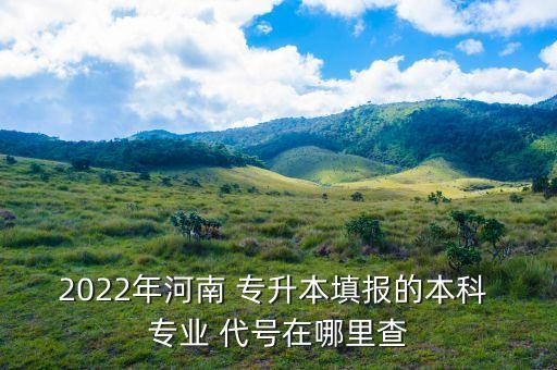 2022年河南 專升本填報的本科 專業(yè) 代號在哪里查