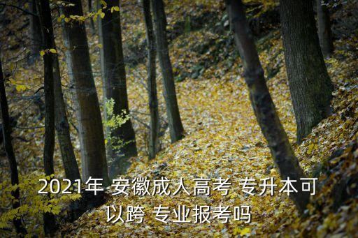 2021年 安徽成人高考 專升本可以跨 專業(yè)報(bào)考嗎