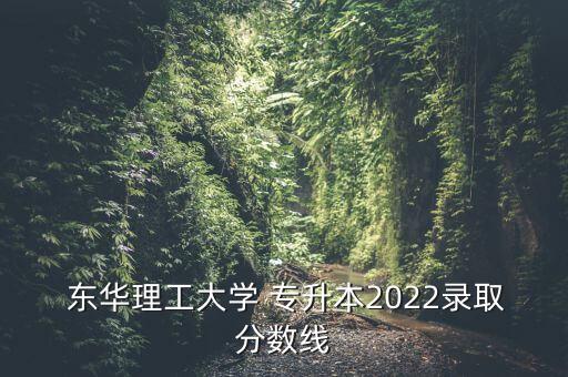  東華理工大學 專升本2022錄取分數(shù)線