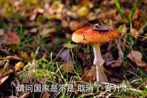 專升本考試會(huì)被取消嗎,國(guó)家會(huì)取消專升本考試嗎