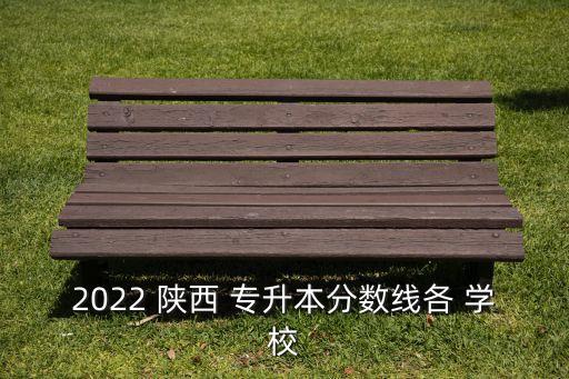 2022 陜西 專升本分?jǐn)?shù)線各 學(xué)校