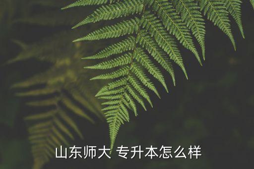 山東專升本好看嗎