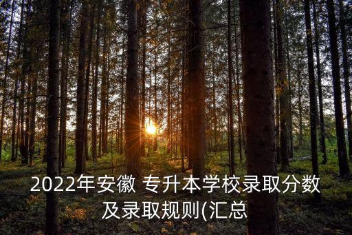 2022年安徽 專升本學(xué)校錄取分數(shù)及錄取規(guī)則(匯總