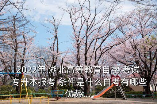 2022年 湖北高等教育自學(xué) 考試 專升本報考 條件是什么自考有哪些優(yōu)勢...