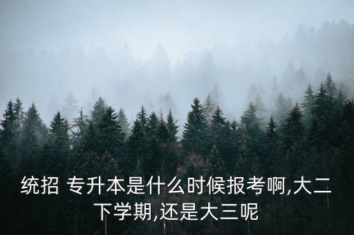 專(zhuān)升本是大幾時(shí)報(bào)名嗎