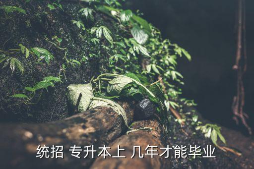 統(tǒng)招 專升本上 幾年才能畢業(yè)