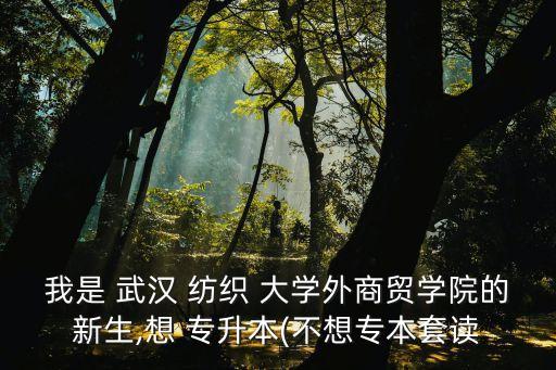 我是 武漢 紡織 大學(xué)外商貿(mào)學(xué)院的新生,想 專升本(不想專本套讀