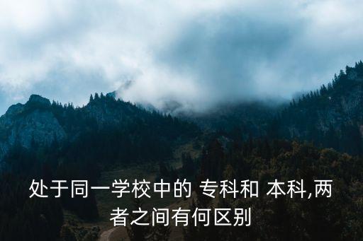 處于同一學(xué)校中的 ?？坪?本科,兩者之間有何區(qū)別