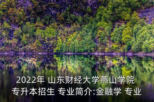 2022年 山東財(cái)經(jīng)大學(xué)燕山學(xué)院 專升本招生 專業(yè)簡(jiǎn)介:金融學(xué) 專業(yè)