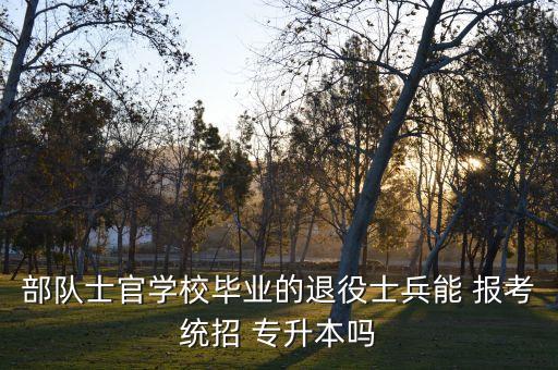 退伍大專生報考專升本,退伍士兵報考專升本可享受優(yōu)惠政策