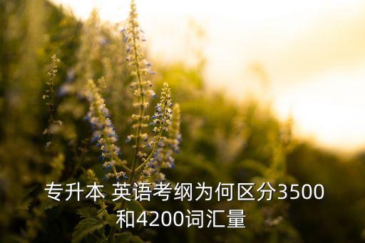 北京專升本英語單詞