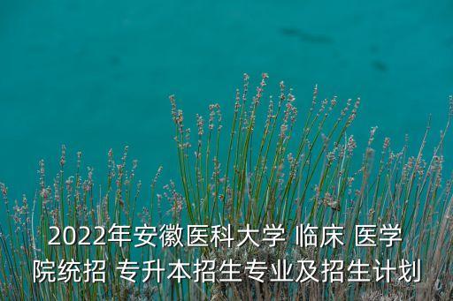 2022年安徽醫(yī)科大學(xué) 臨床 醫(yī)學(xué)院統(tǒng)招 專升本招生專業(yè)及招生計(jì)劃