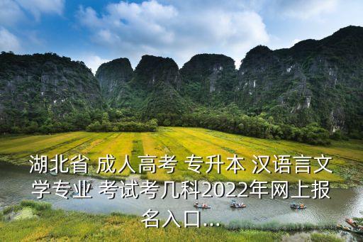 湖北省 成人高考 專升本 漢語言文學(xué)專業(yè) 考試考幾科2022年網(wǎng)上報(bào)名入口...