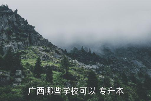  廣西哪些學(xué)?？梢?專升本