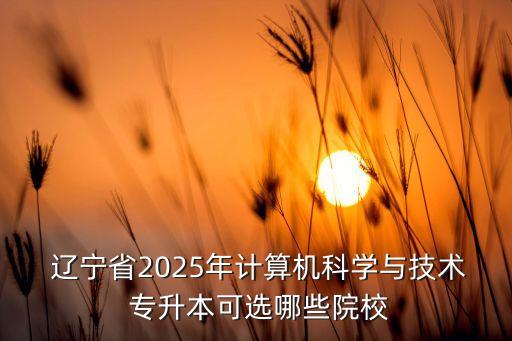  遼寧省2025年計算機(jī)科學(xué)與技術(shù) 專升本可選哪些院校