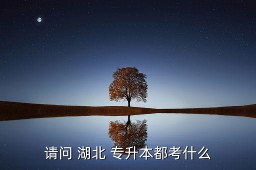 請(qǐng)問 湖北 專升本都考什么