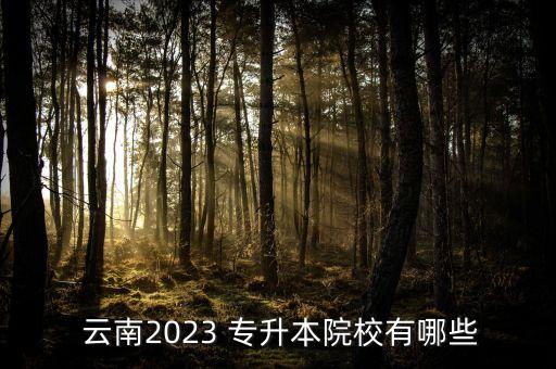  云南2023 專升本院校有哪些